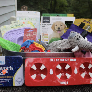 Boredom Buster Basket