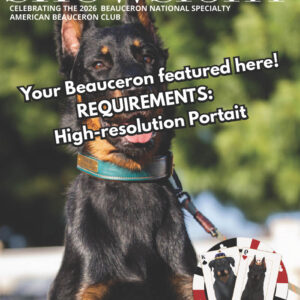 Digital Magazine Cover