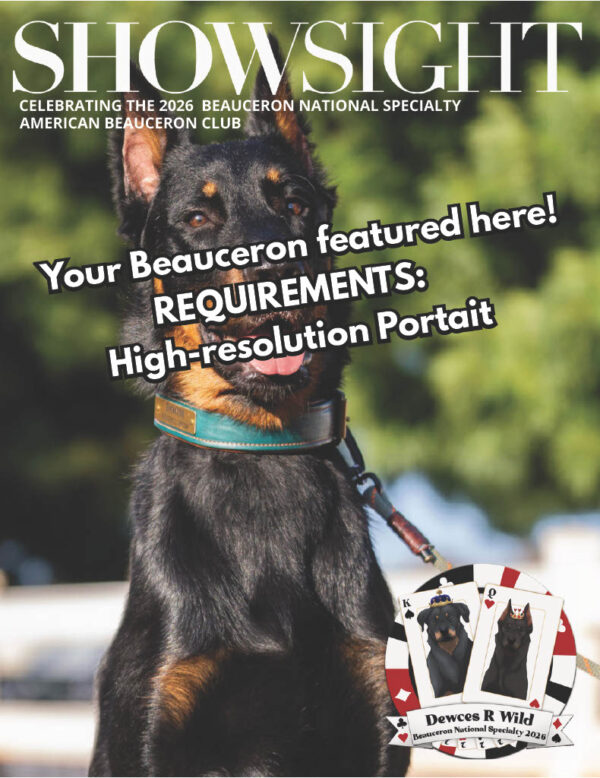 Digital Magazine Cover