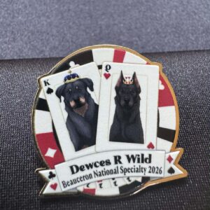 2026 NS & Journee Pin