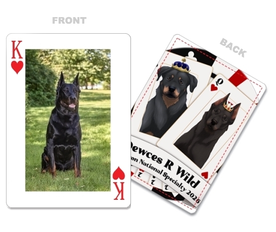 Dewces R Wild - Deck of Cards