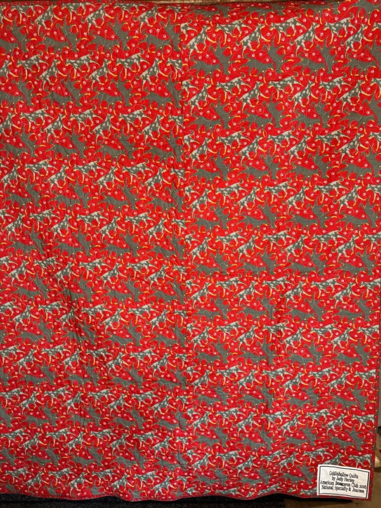 2026 NS&J Quilt Raffle