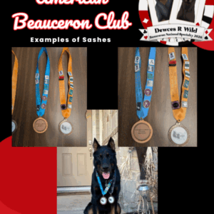 Parade of Title Holders Entry